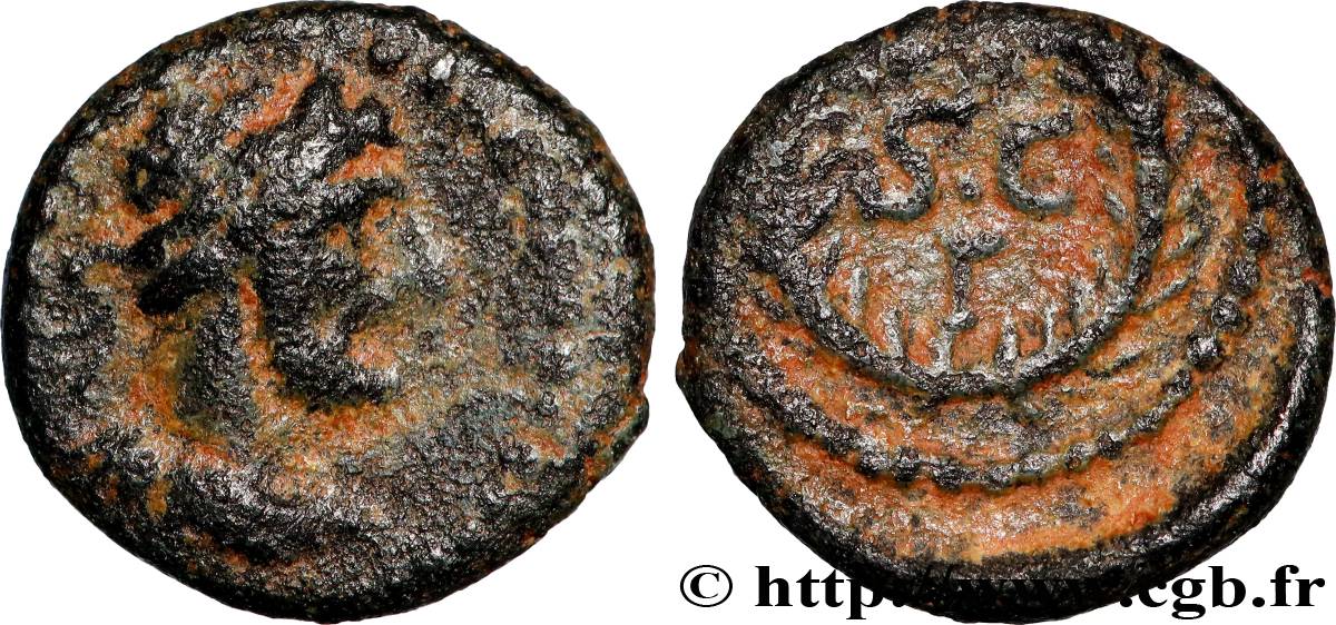 HADRIAN Hemichalque XF