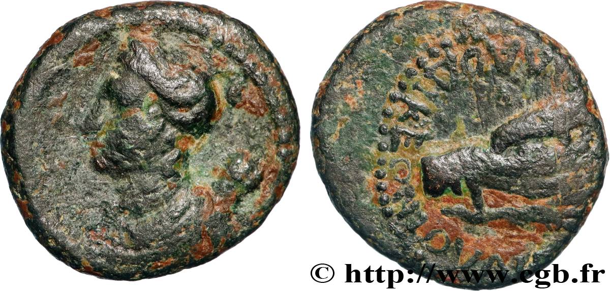 SYRIA - SELEUCIA AND PIERIA - LAODICEA Unité VF