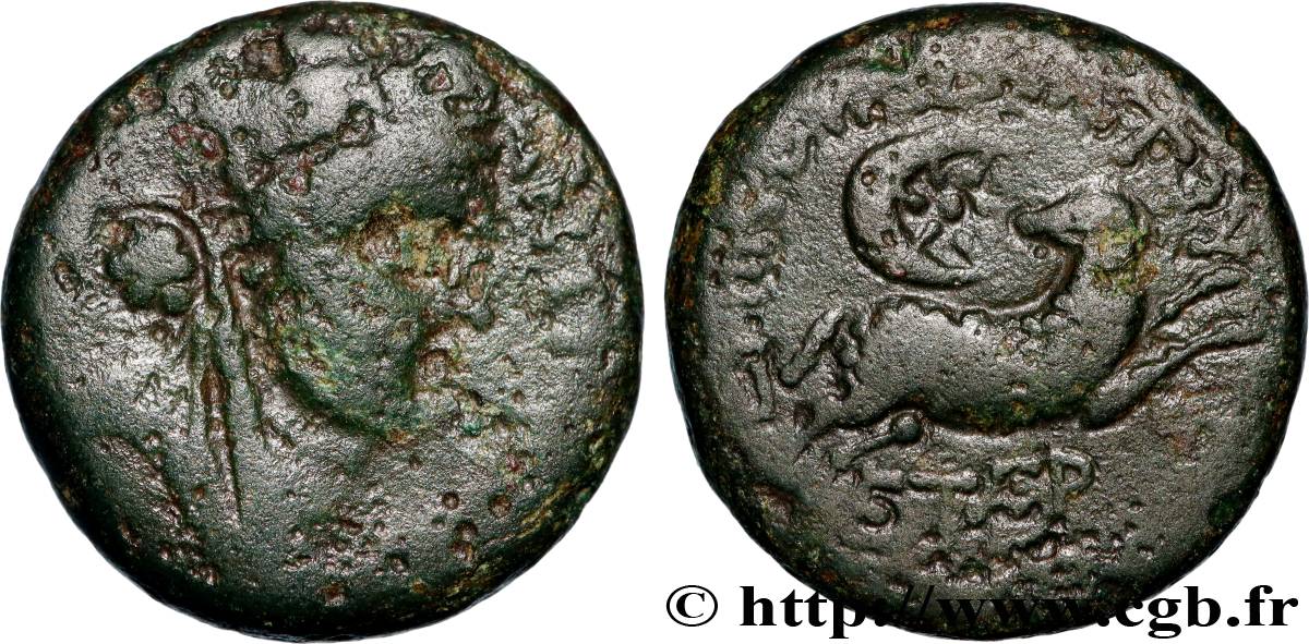 SIRIA, SELEUCIA E PIERIA - ANTIOCHIA - AUGUSTO Bronze q.BB
