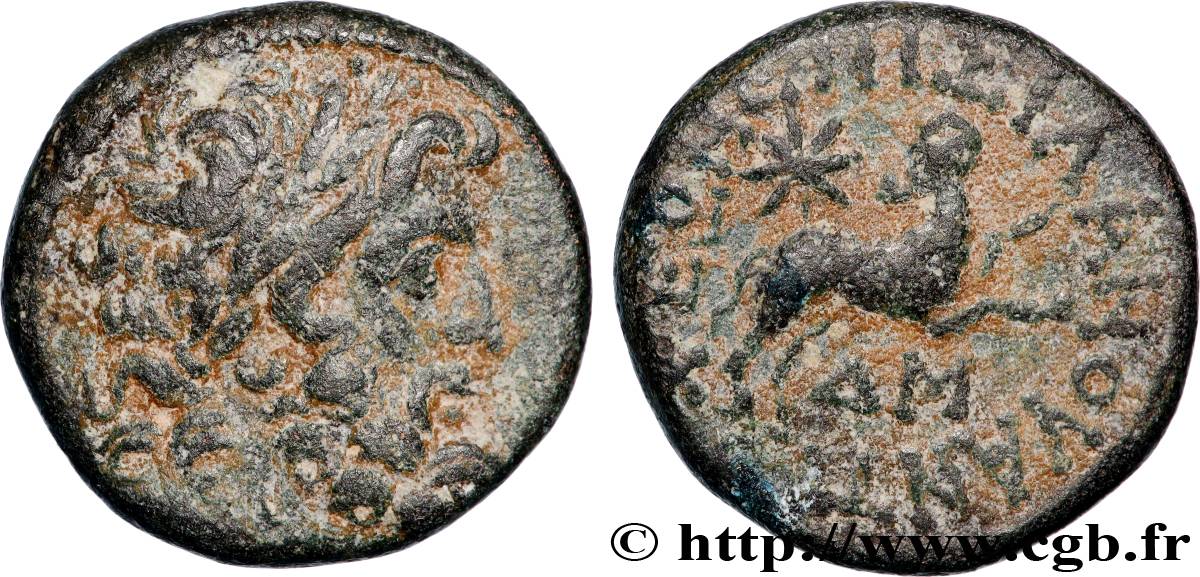 SIRIA, SELEUCIA E PIERIA - ANTIOCHIA - AUGUSTO Bronze BB