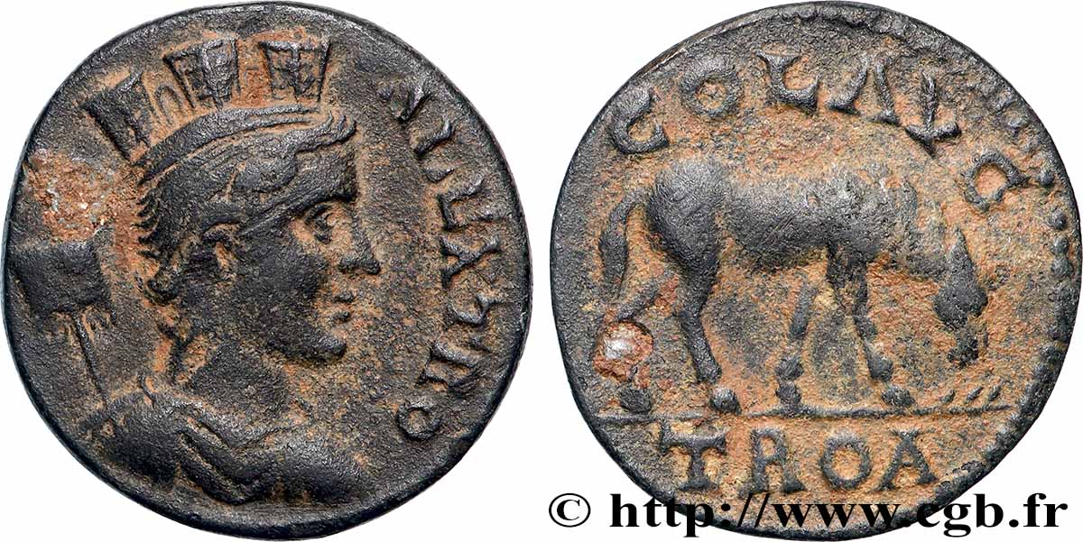 TROAS - ALEXANDRIA Triassaria XF