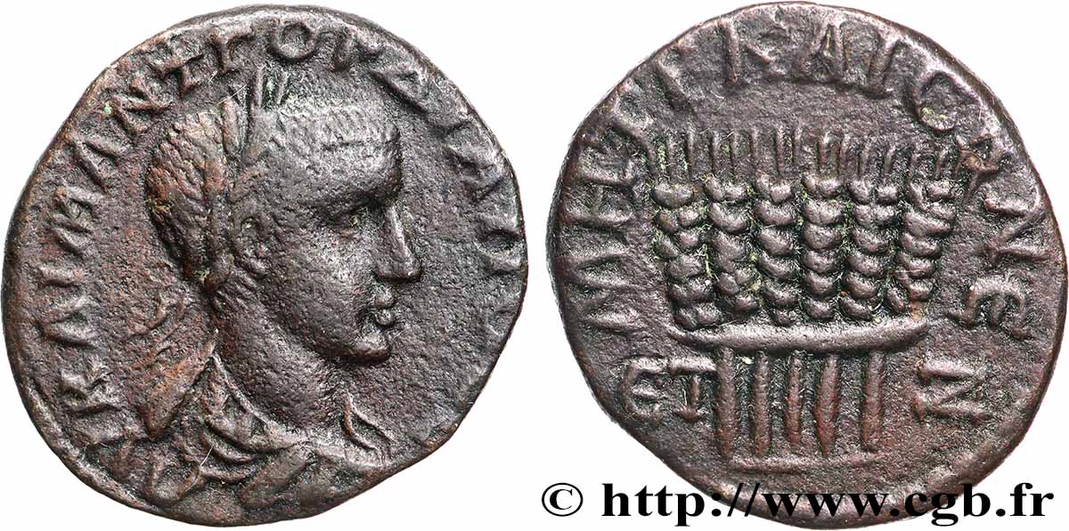 GORDIEN III Triassaria TTB+