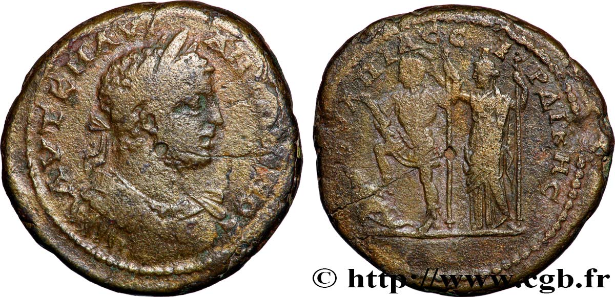 CARACALLA Hexassaria TB+