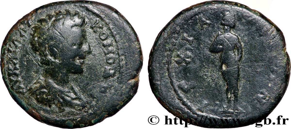 COMMODE Diassaria TB+