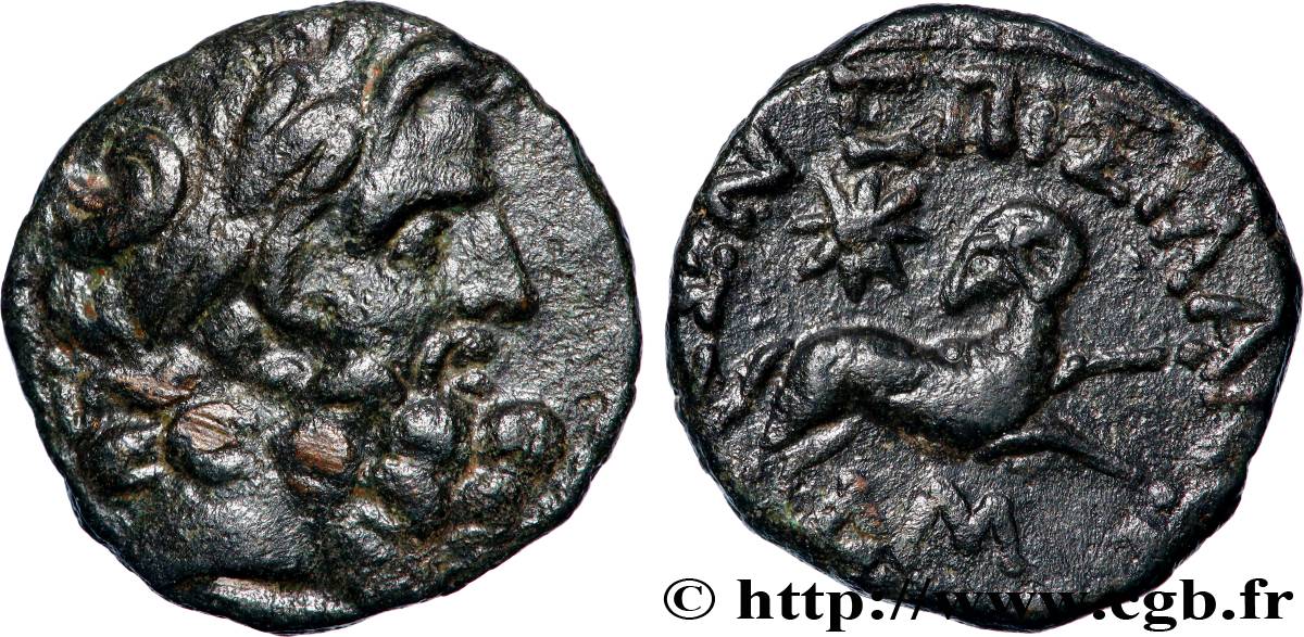 SYRIE - SÉLEUCIE ET PIÉRIE - ANTIOCHE - AUGUSTE Bronze TTB+