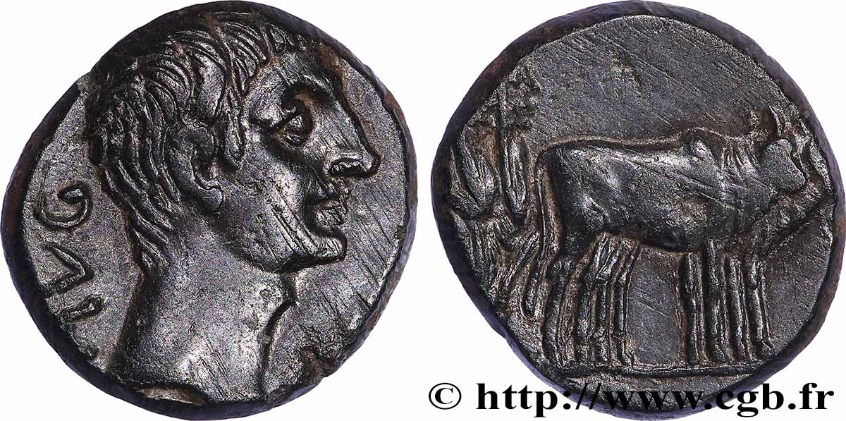 AUGUSTO Assarion q.SPL