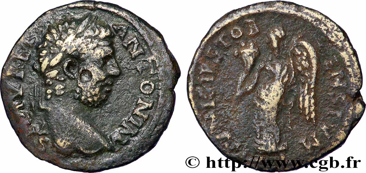 CARACALLA Diassaria TB+