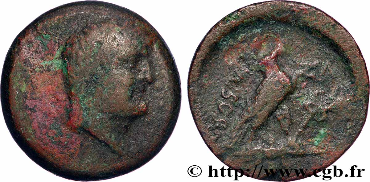 MARC ANTOINE Moyen Bronze SS