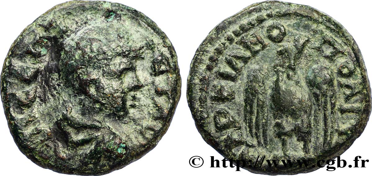 GORDIEN III Assarion TTB
