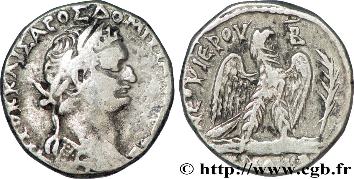 DOMITIANUS Tétradrachme syro-phénicien fSS