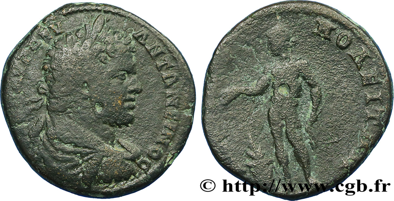 CARACALLA Tetrassaria TB+