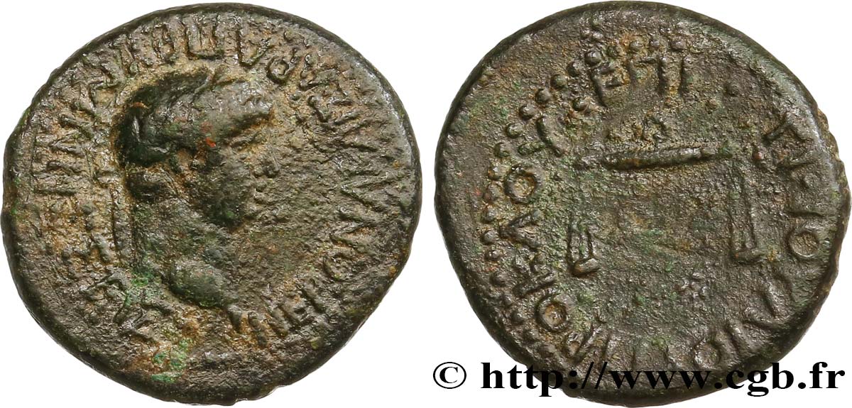 NERO Assarion XF