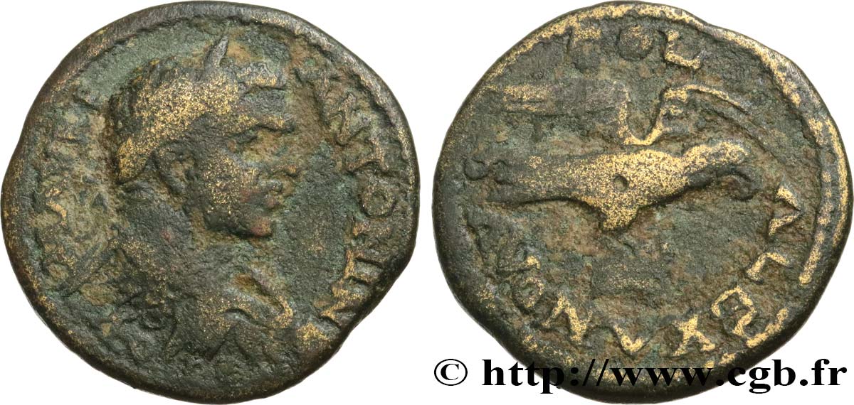 CARACALLA Triassaria MB