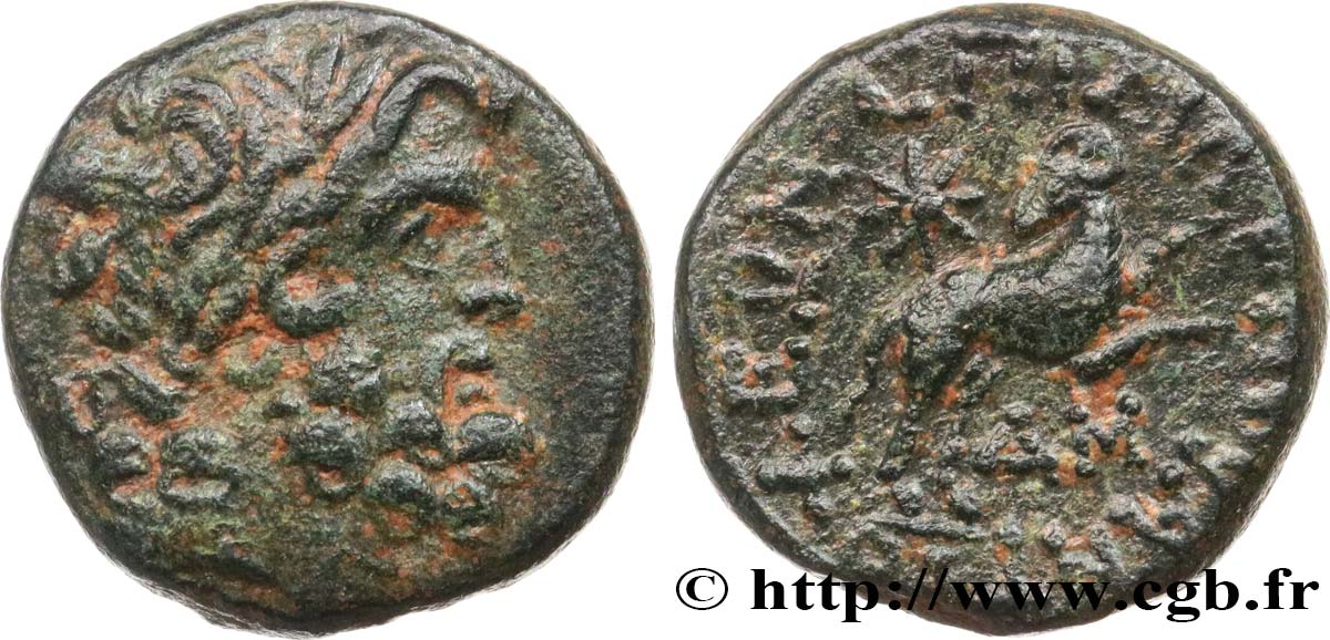 SYRIA, SELEUCIA and PIERIA - ANTIOCHIA - AUGUSTUS Bronze AU
