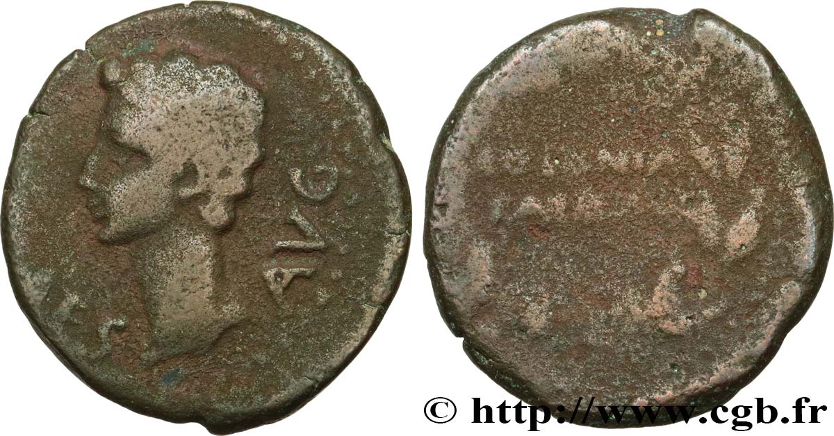 AUGUSTE Semis TB+/B+