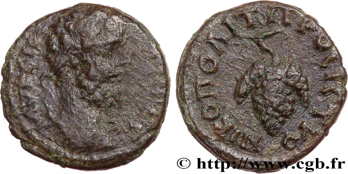 SEPTIMIUS SEVERUS Assarion VF/XF