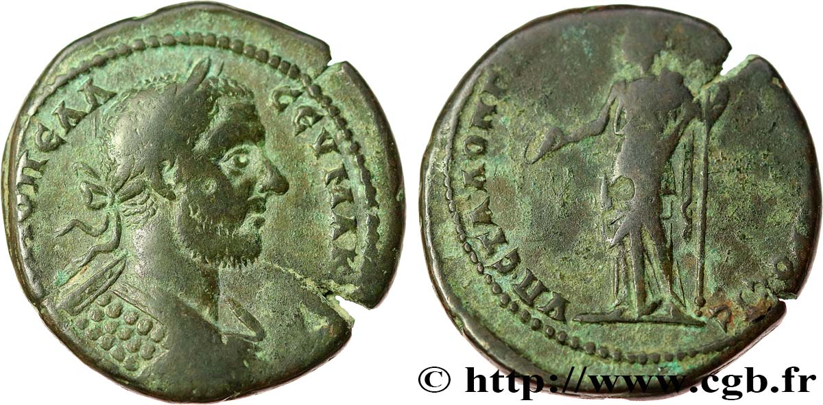 MACRINUS Tetrassaria XF