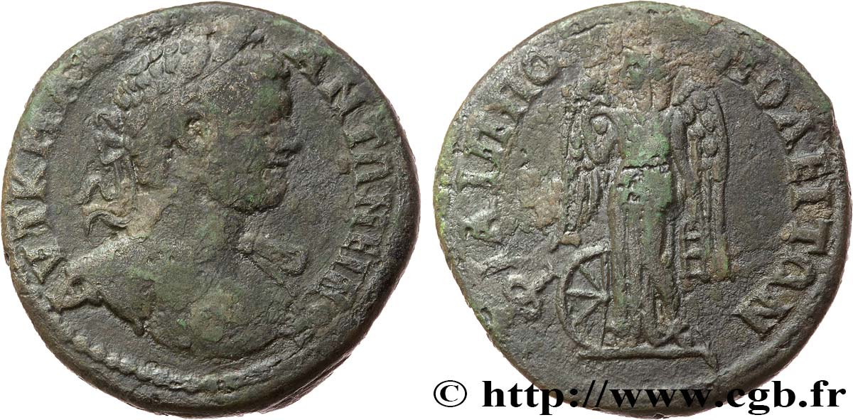 CARACALLA Hexassaria SS
