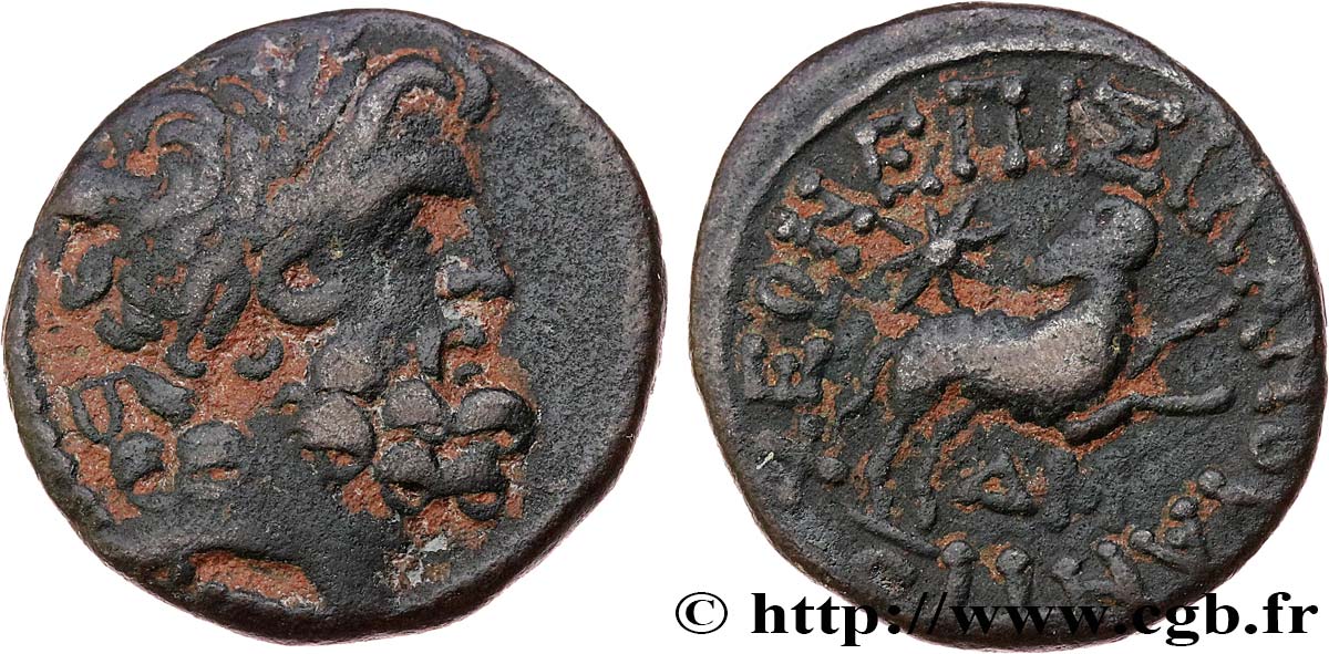 SYRIE - SÉLEUCIE ET PIÉRIE - ANTIOCHE - AUGUSTE Bronze TTB