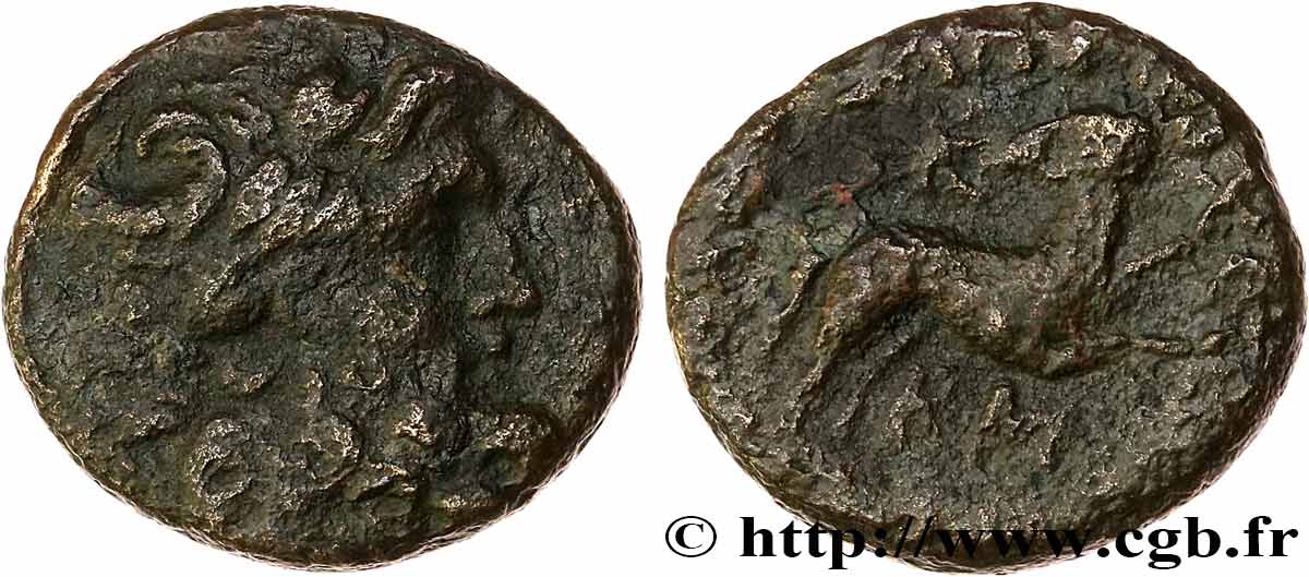 SYRIA, SELEUCIA und PIERIA - ANTIOCHIA - AUGUSTUS Bronze fSS