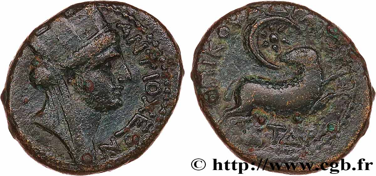 SYRIE - SÉLEUCIE ET PIÉRIE - ANTIOCHE - AUGUSTE Bronze TTB/TB+