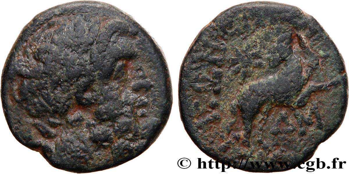 SYRIA, SELEUCIA und PIERIA - ANTIOCHIA - AUGUSTUS Bronze fSS