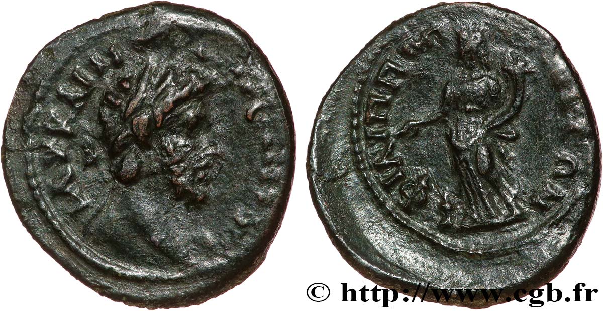 COMMODUS Assarion XF
