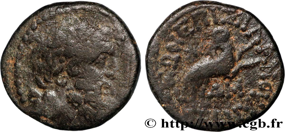 SIRIA, SELEUCIA Y PIERIA - ANTIOCHIA - AUGUSTO Bronze BC+