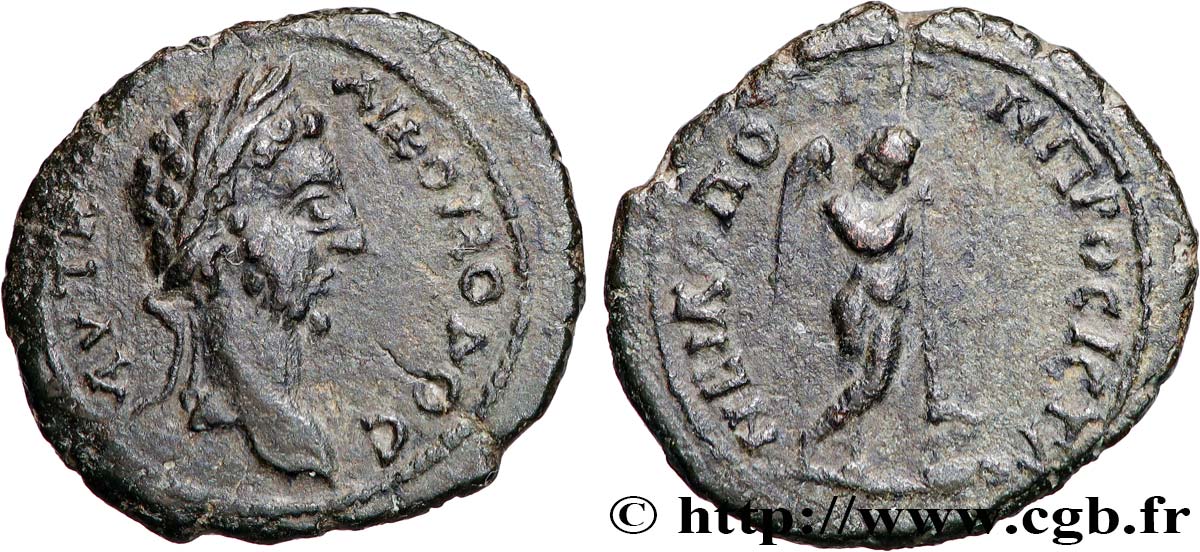 COMMODUS Assarion XF