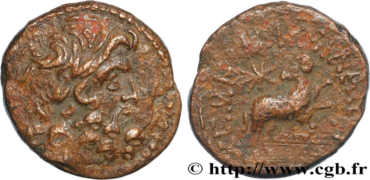 SYRIA, SELEUCIA and PIERIA - ANTIOCHIA - AUGUSTUS Bronze XF