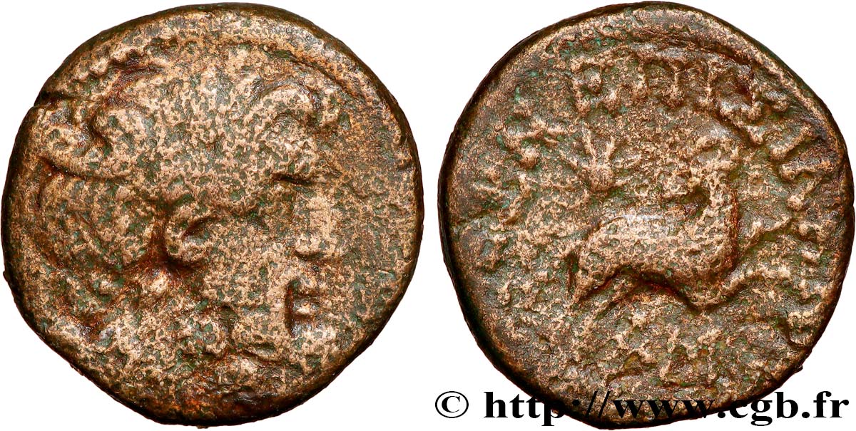 SYRIA - SELEUCIA and PIERIA - ANTIOCHIA - AUGUSTUS Bronze VF