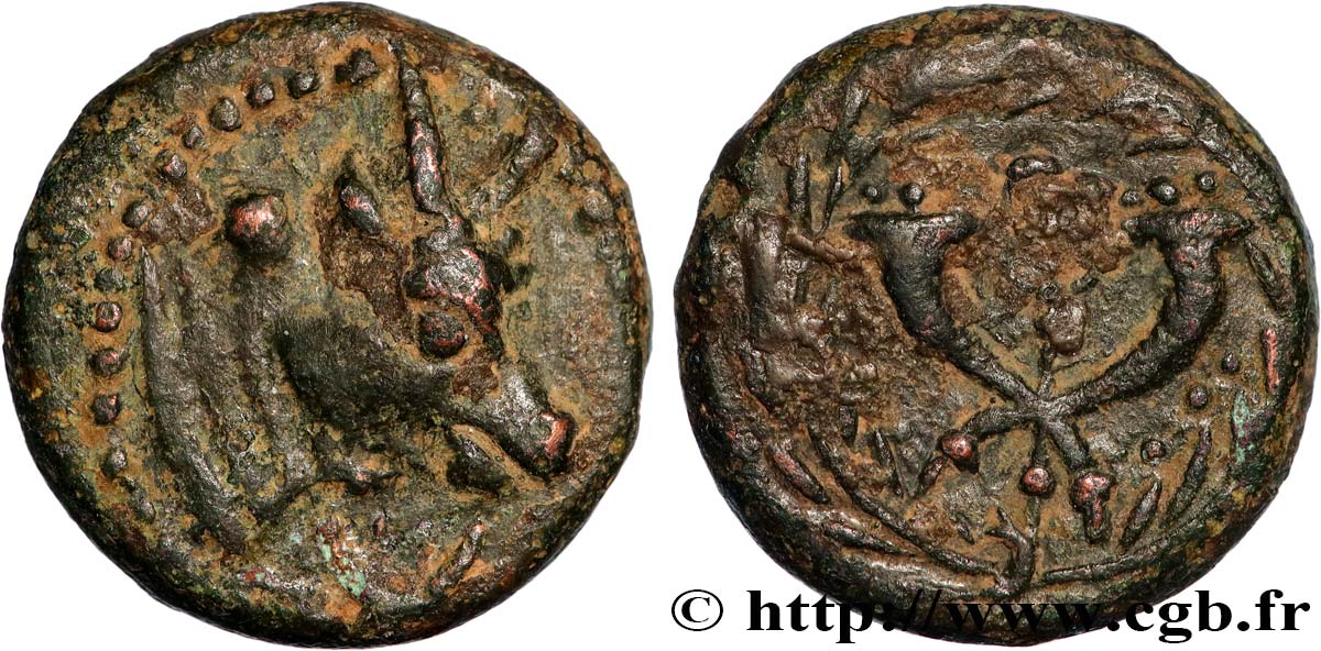 PALMYRA - PSEUDO-AUTONOMOUS ISSUE Bronze BB