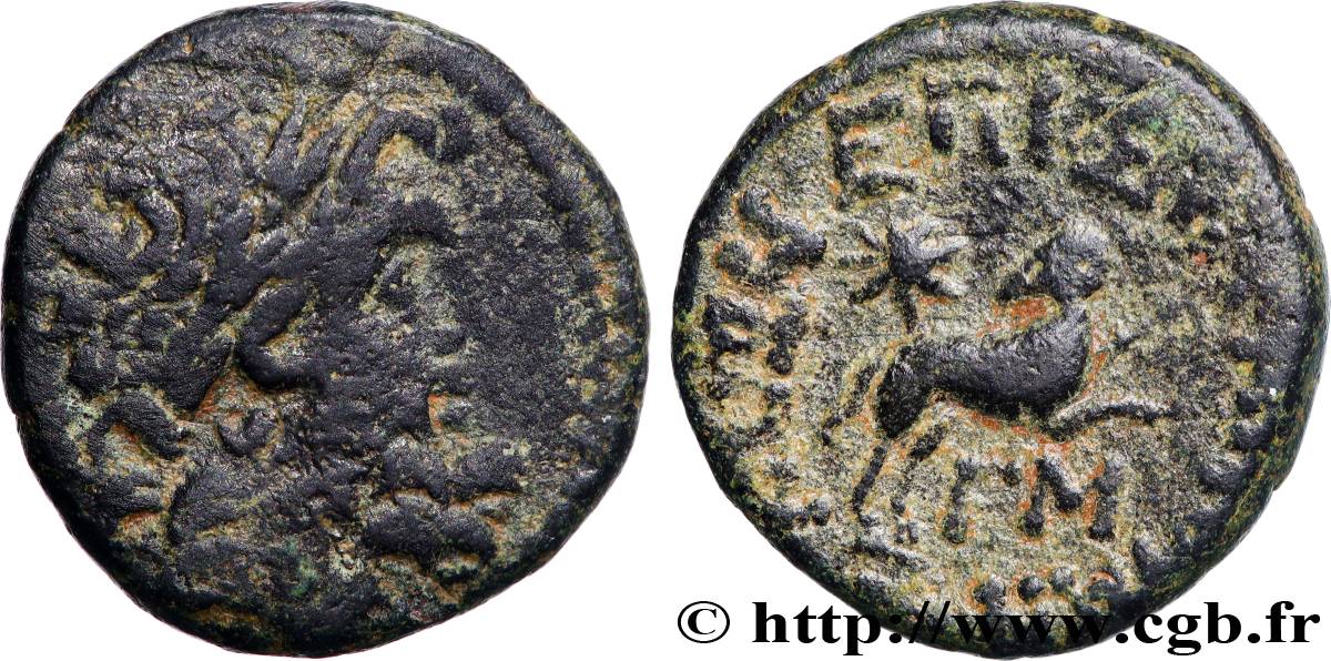 SYRIE - SÉLEUCIE ET PIÉRIE - ANTIOCHE - AUGUSTE Bronze TTB