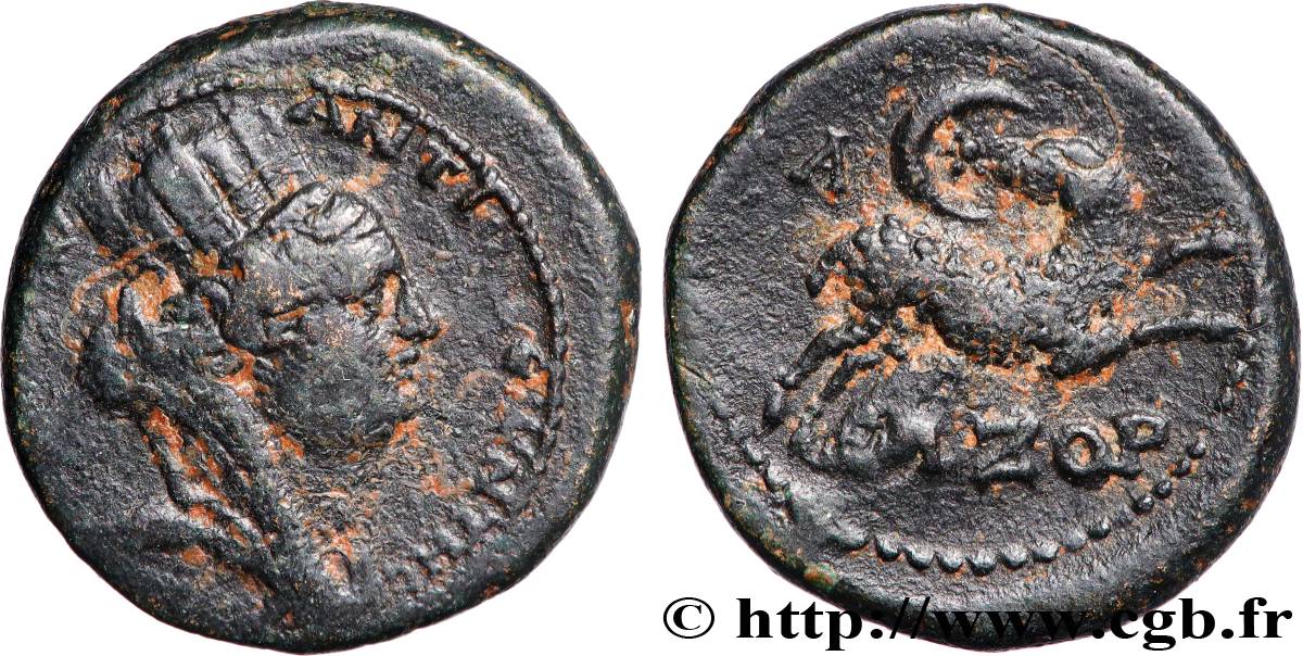SYRIE - SÉLEUCIE ET PIÉRIE - ANTIOCHE - AUGUSTE Bronze TTB