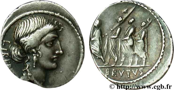 BRUTUS Denier SS