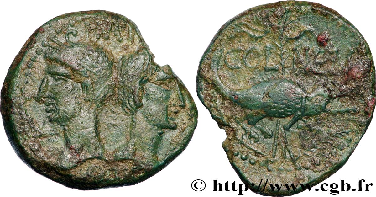NEMAUSUS - NIMES - AUGUSTUS und AGRIPPA Dupondius COL NEM (as) SS