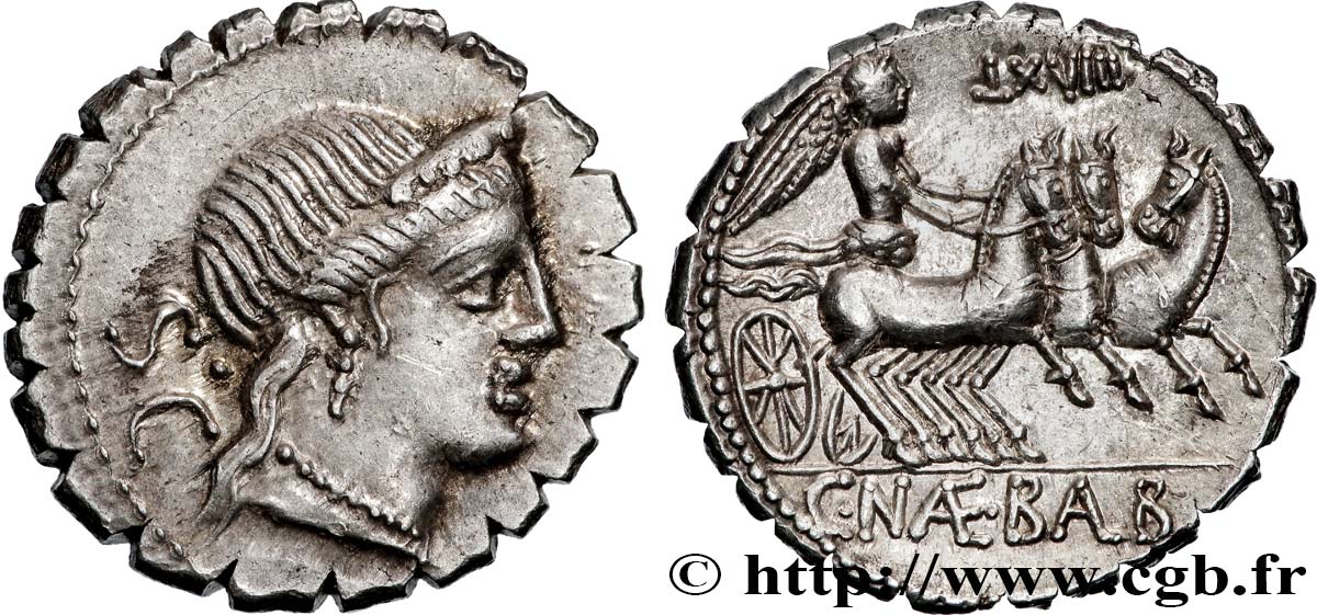 NAEVIA Denier serratus SPL