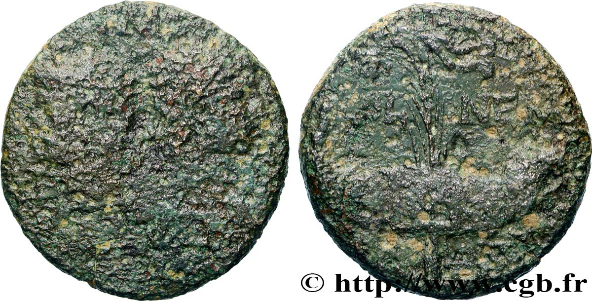 AUGUSTUS and AGRIPPA Dupondius COL NEM (as) F