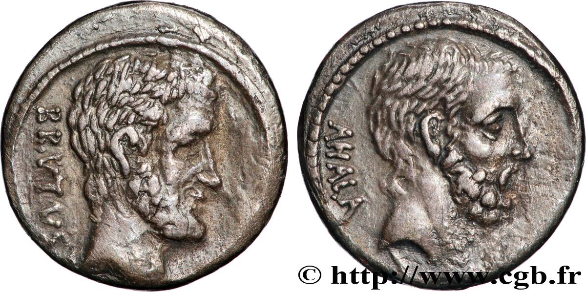 BRUTUS Denier XF