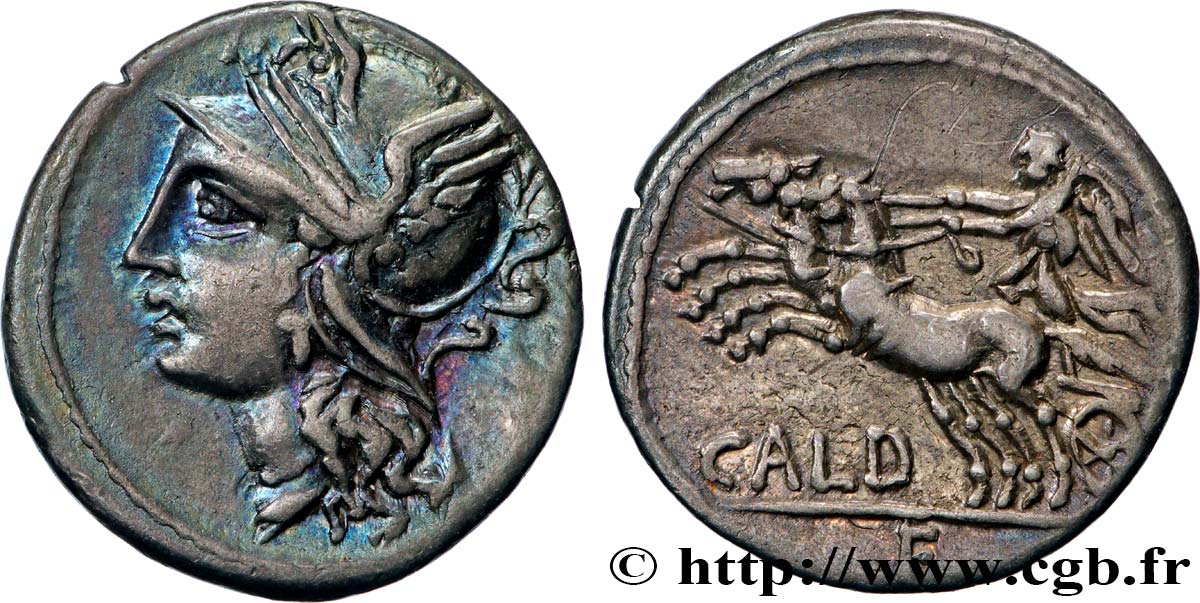 COELIA Denier AU