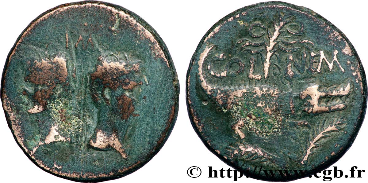 NEMAUSUS - NIMES - AUGUSTUS and AGRIPPA Dupondius COL NEM (as) VF