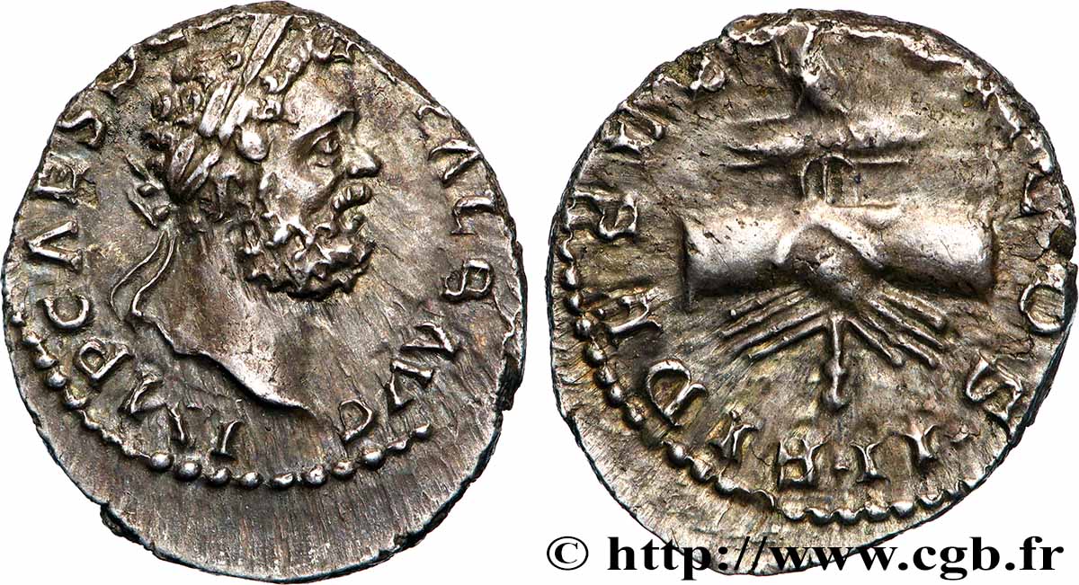 CLODIO ALBINO Denier SPL