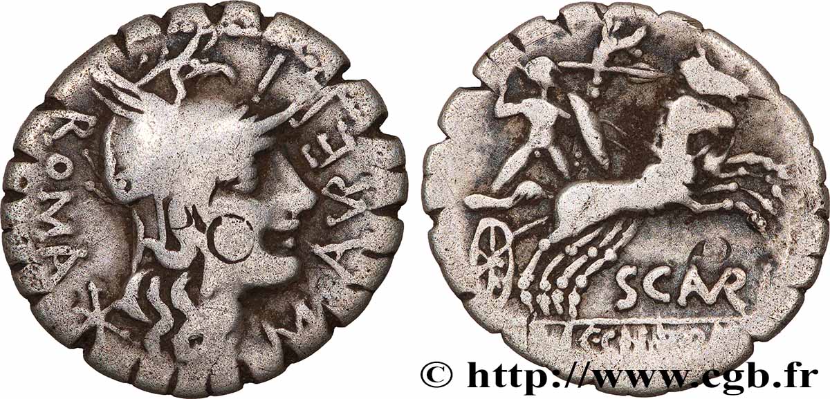 AURELIA Denier serratus TTB