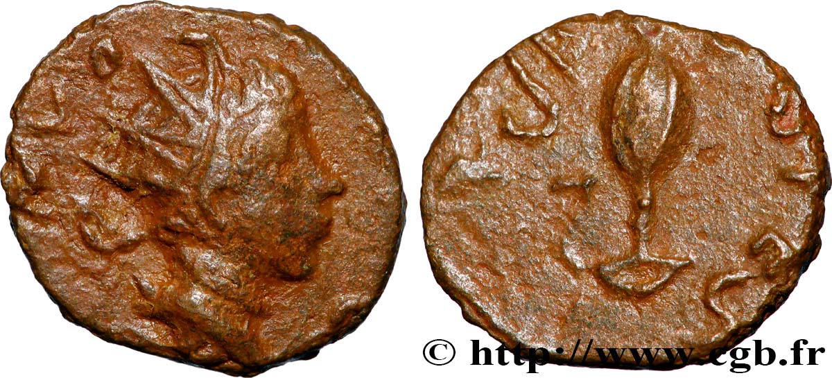 TETRICUS II Minimus XF