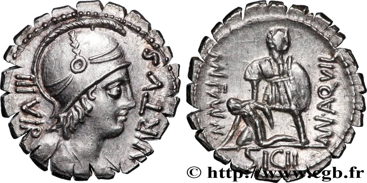 AQUILLIA Denier serratus ST/fST