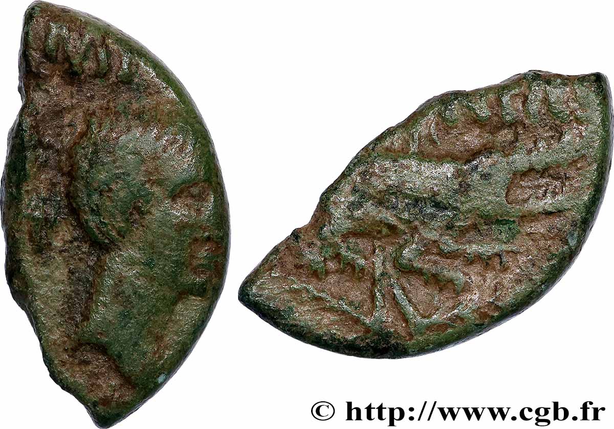 NEMAUSUS - NÎMES Dupondius COL NEM (as), coupé en deux TB