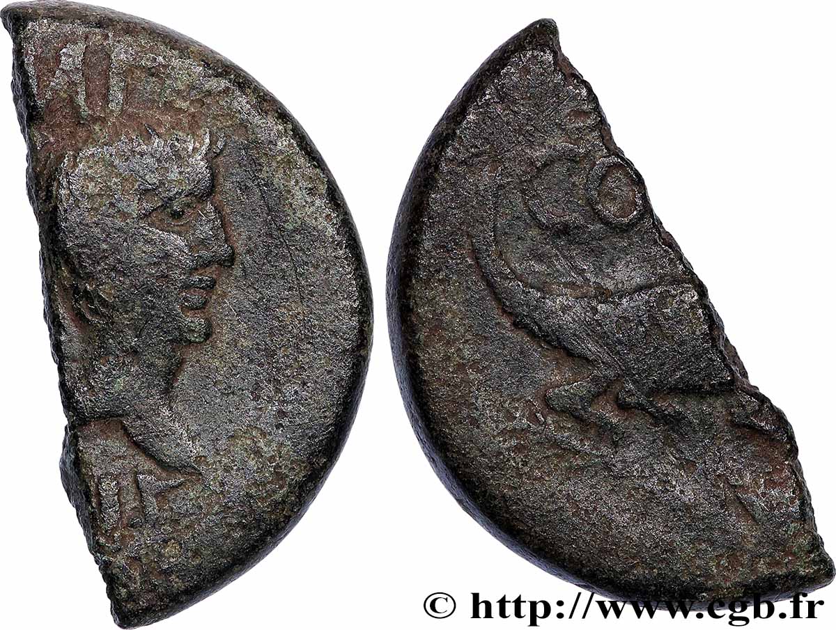 NEMAUSUS - NÎMES Dupondius COL NEM (as), coupé en deux fSS