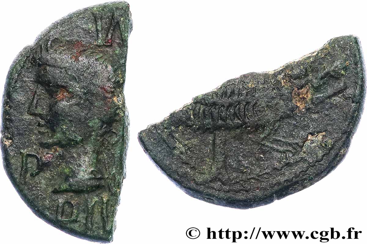 NEMAUSUS - NIMES - AUGUSTUS and AGRIPPA Dupondius COL NEM (as) - coupé VF