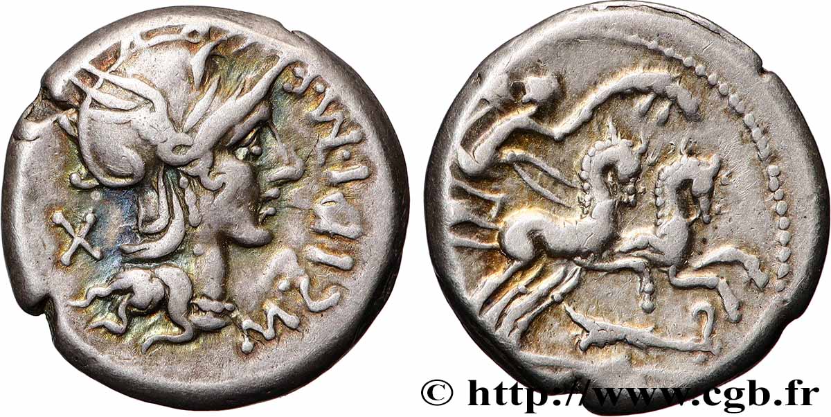 CIPIA Denier TTB+/TTB