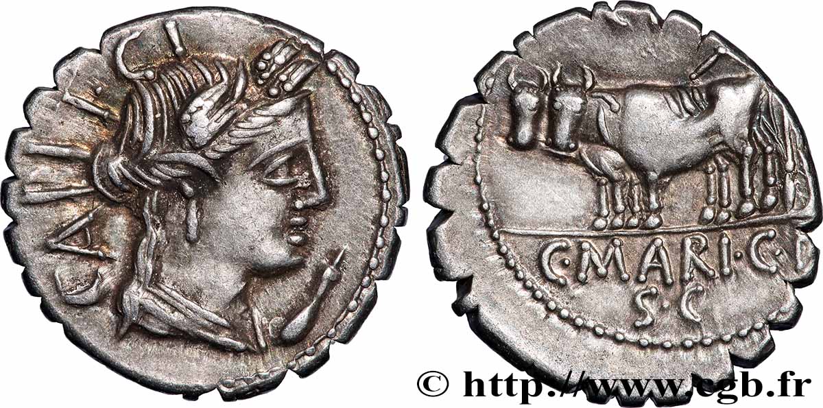 MARIA Denier serratus VZ